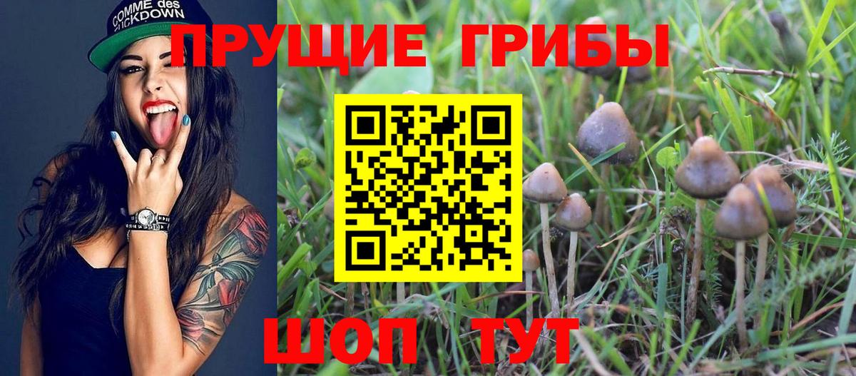 Галлюциногенные грибы прущие грибы Уварово